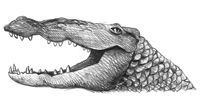 lachendes Krokodil